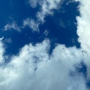 Meet your Posher, Kaylani